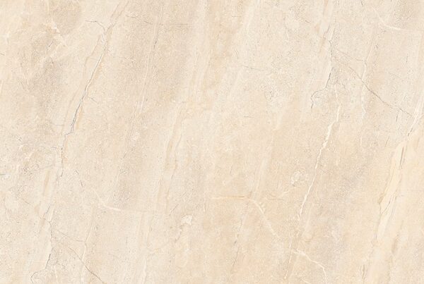 DYNA SILVER POLISHED 60x120