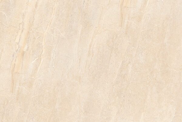 DYNA SILVER POLISHED 60x120