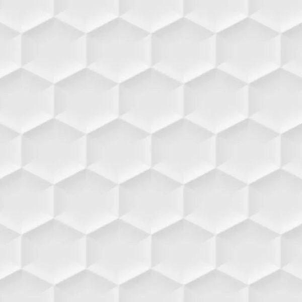 xwhite hexagone 30 45.jpg