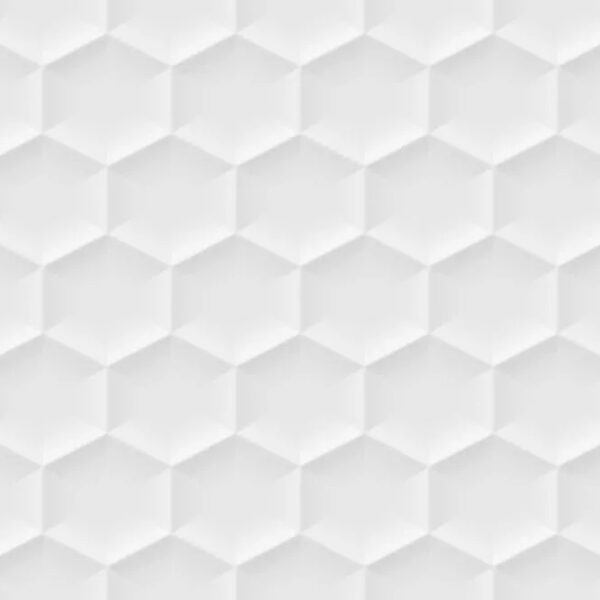 xwhite hexagone 30 45.jpg.pagespeed.ic .0QGvEVRk9N