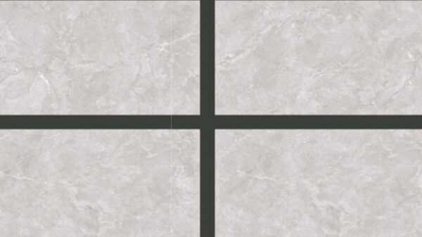 NEWTON LIGHT GREY 60x120 poler