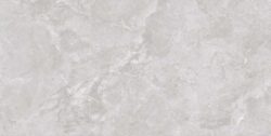 NEWTON LIGHT GREY 60x120 poler