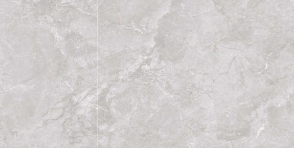 NEWTON LIGHT GREY 60x120 poler