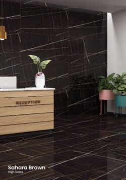 SAHARA BROWN 60X120 poler HIGH GLOSSY