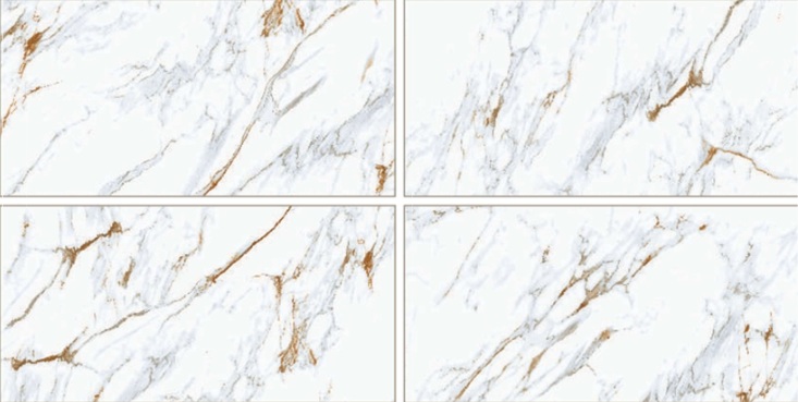 Tyler White 60X120 Sugar Granula TYLER WHITE 60x120 SUGAR GRANULA